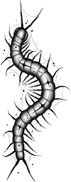 Centipede