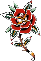 Budding Red Rose