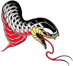 Snake head