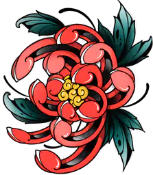 Pink Chrysanthemum