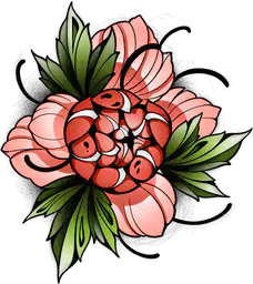 Pink Lily Flower