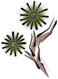 Bonsai Branch