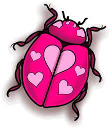 Pink heart beetle