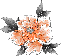 Vibrant Peony Bloom