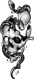 Broken Skull With Snake