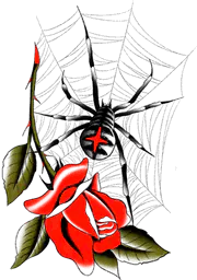 Spider and Rose