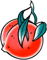 Apricot