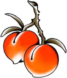 Two peaches