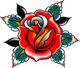 Classic rose