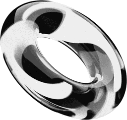 Ring Torus