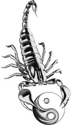 Yin and yang scorpion