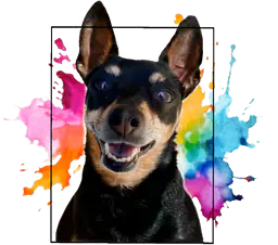 Miniature Pinscher portrait