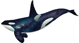Killer whale galaxy