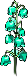Lily Of Valley