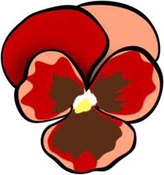 Red Pansy Flower