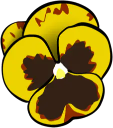 Yellow Pansy Flower
