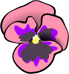 Pink Pansy Flower