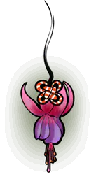 Purple Fuchsia Flower