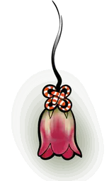 Pink Fuchsia Flower