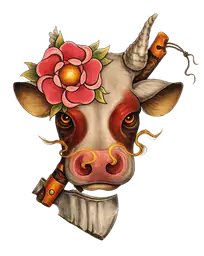 Crazy Cow