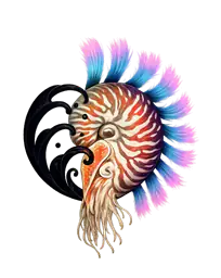 Tribal Nautilus Shell