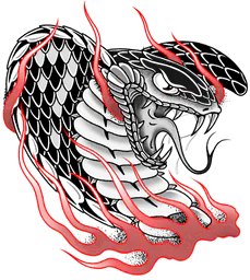 Cobra Snake Flames