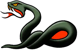 Coiled Green Snake