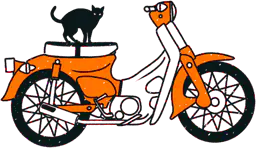 Orange Motorcycle With Cat