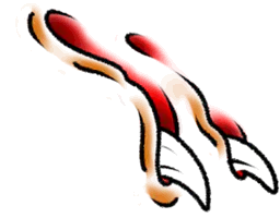 Double Claw Marks