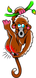 Monkey