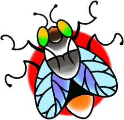 Fly with Red Background