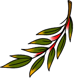 Green Laurel Branch