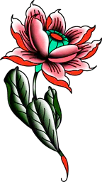 Lotus Flower