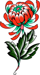 Chrysanthemum Flower