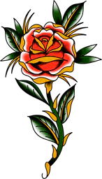 Classic Rose