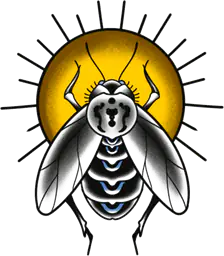 Cicada and Sun