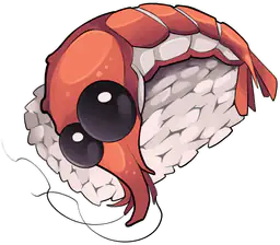 Cute Nigiri Sushi Shrimp