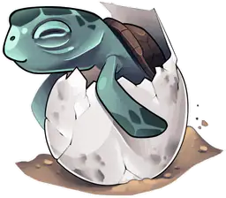 Cute Sea Turtle