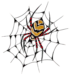 Spider on Web