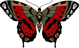 Swallow Tail Butterfly