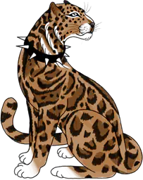 Leopard Attitude