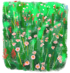 Wildflower meadow