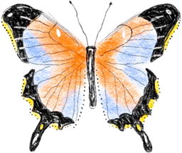 Orange and blue butterfly