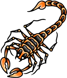 Orange scorpion