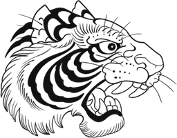 Tiger head #1