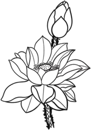 Open and closed lotus