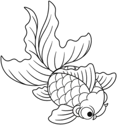 Chibi koi fish