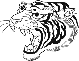 Tiger head #2