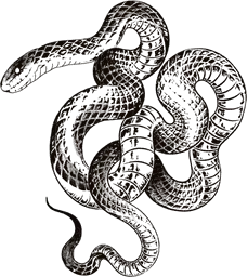 Snake