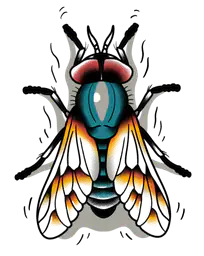 A Fly